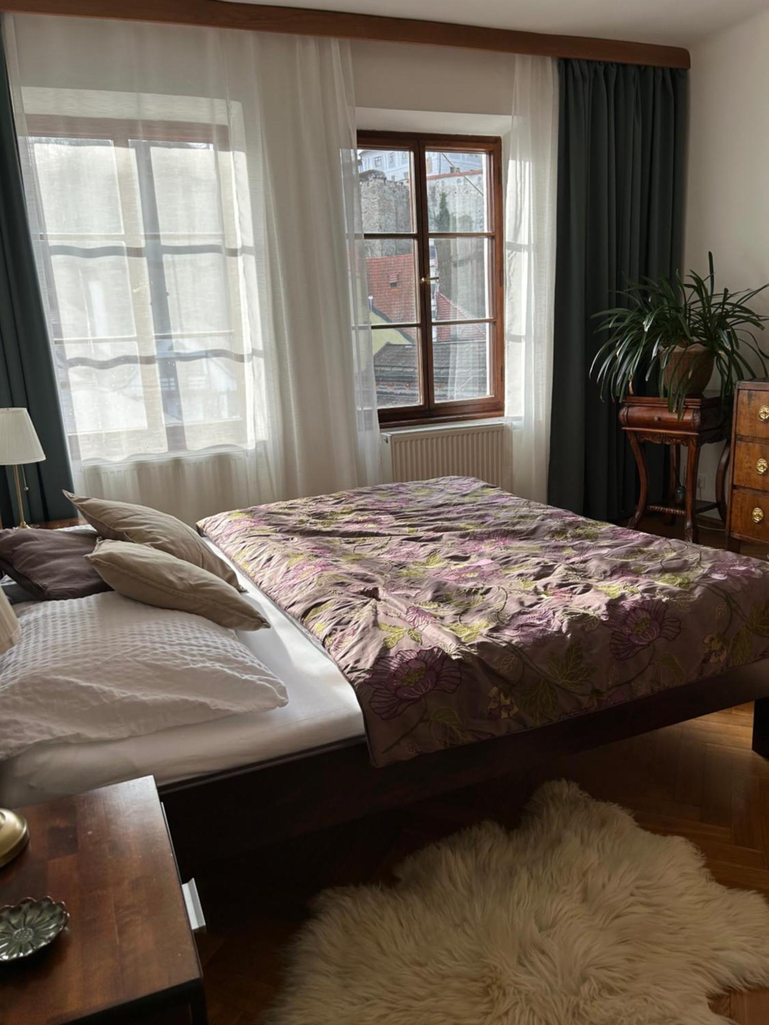 Apartments Dlouha 93 Чеський Крумлов Екстер'єр фото